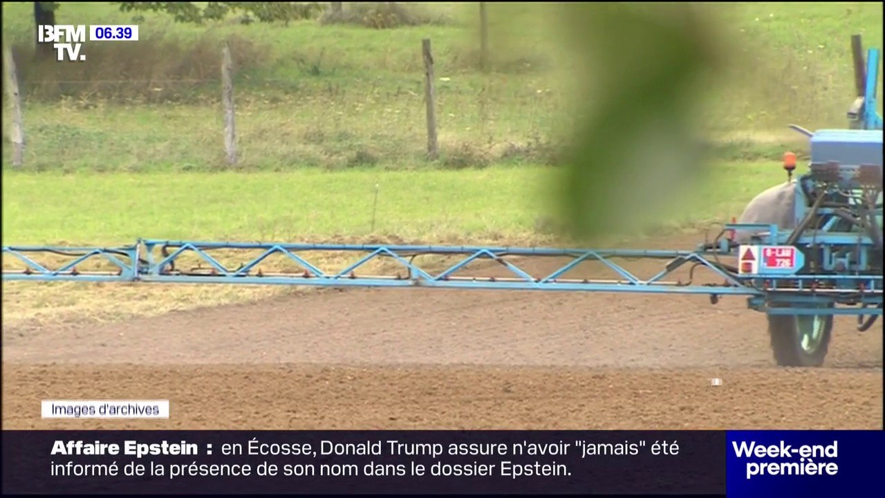 Ces agriculteurs et restaurateurs qui s'opposent à la loi Duplomb