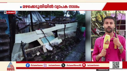 പാലക്കാട് വീടിന് മുകളിൽ മരം വീണു; രണ്ട് പേർക്ക് പരിക്കേറ്റു
