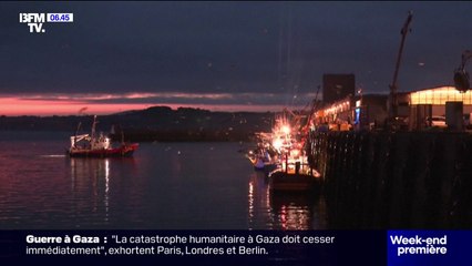 Dans le Finistère, la saison de la sardine est lancée