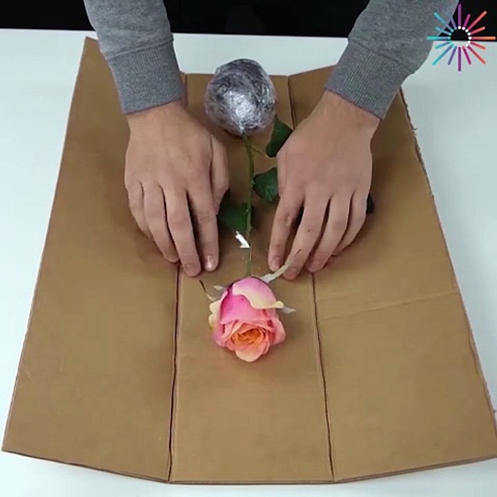 Genius everyday hacks you should check!