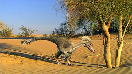 Dino Planet - Episodio 1- El viaje de Tip | Latino