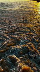 Sunset  Dadu Canal ❤ #maxrecords #larkana #sindh #pakistan