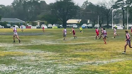 HDFNL: Heathcote v Elmore. July 26, 2025.