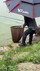 Pond Fishing Adventures - 138