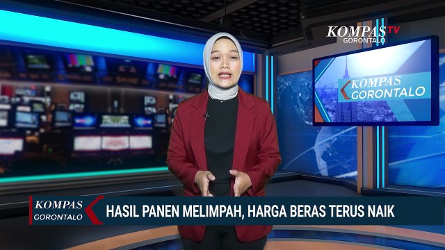 Harga Beras Mahal, Dinas Pertanian Pastikan Hasil Panen Padi di Gorontalo Melimpah