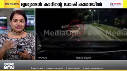 തിരുപ്പതിയിൽ ബൈക്ക് യാത്രികർക്ക് നേരെ പാഞ്ഞടുത്ത് പുലി...