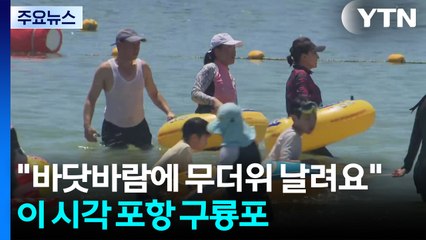 "시원한 바닷바람에 더위 날려요"...이 시각 포항 구룡포 / YTN