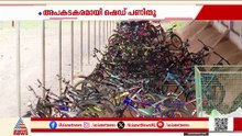 തേവലക്കര സ്കൂളിന്റെ മുറ്റത്തുണ്ട് മാനേജ്മെന്റിന്റെ വീഴ്ചകൾക്കുള്ള തെളിവുകൾ