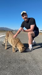 Raced A Cheetah | Mr beast |