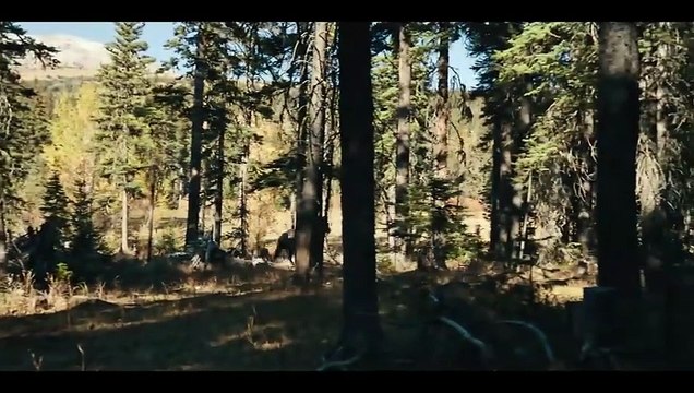 Butcher’s Crossing Full Movie _ Nicolas Cage, Fred Hechinger _ Hindi Dubbed _ Adventure Drama_2