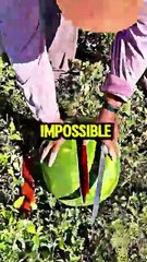 Spoiled Kid Behavior | Playground Incident & Reality Check