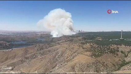 Ankara'da ormanlık alanda yangın