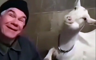 Man & goat snapshots