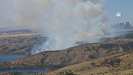 Ankara'da Eymir Gölü yakınlarında orman yangını