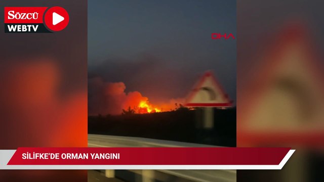 Silifke’de orman yangını