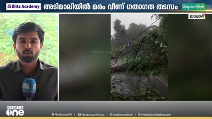 ഇടുക്കി അടിമാലി നേരിയമംഗലം ദേശീയപാതയിൽ മരം വീണ്  ഗതാഗതം തടസപ്പെട്ടു