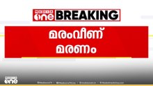 ഇടുക്കി ഉടമ്പൻചോലയിൽ മരം വീണ് തോട്ടം തൊഴിലാളി മരിച്ചു