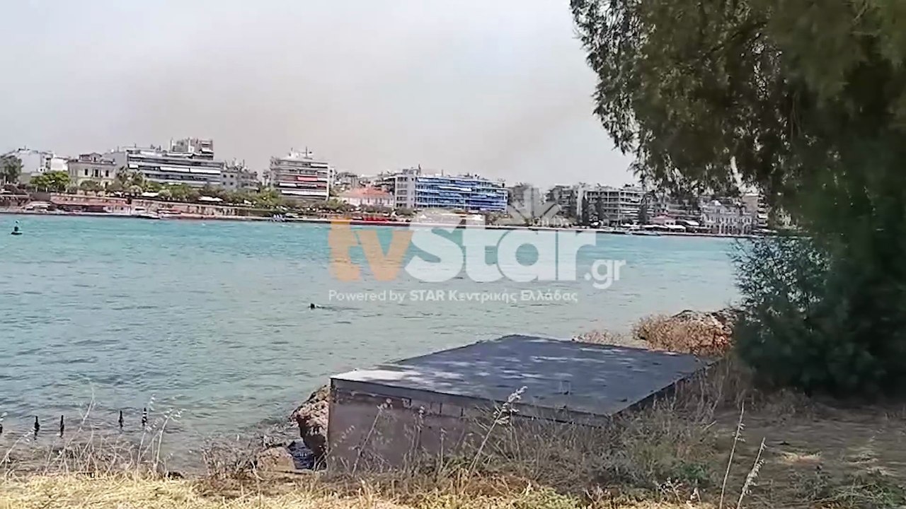 Εύβοια: Μεγάλη φωτιά στην περιοχή Τριάδα - Μήνυμα και από το 112