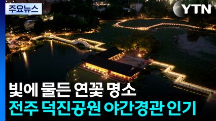빛에 물든 연꽃 명소...전주 덕진공원 야간경관 인기 / YTN