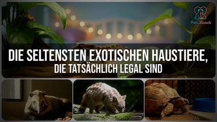 Die seltensten exotischen Haustiere, die man legal halten kann