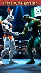 India vs Pakistan Wrestling Fight 🥊 | Baby Turtle vs Rabbit | Emotional Final Scene