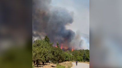 Ankara'da Eymir Gölü yakınlarında orman yangını