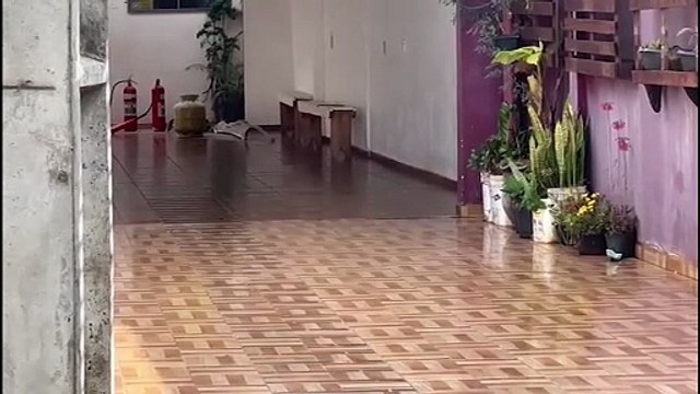 Corpo de Bombeiros é acionado para controlar incêndio no Brasmadeira