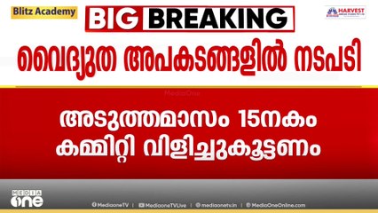 വൈദ്യുതി അപകടങ്ങൾ ഒഴിവാക്കാൻ സംസ്ഥാന, ജില്ലാതല കമ്മിറ്റികൾ വിളിച്ചുകൂട്ടാൻ മന്ത്രിയുടെ നിർദേശം