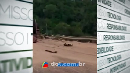 Criança de três anos morre em um acidente registrado no município de Dom Eliseu