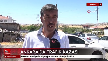 Ankara’da biri çocuk 3 kişinin hayatını kaybettiği kazaya sahipsiz köpeğin neden olduğu iddiası