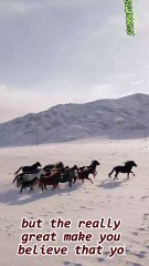 Keep away from those who try to belittle your ambitions #marktwain #echoquotes