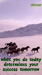 Your life does not get better by chance, it gets better by change #jimrohn #echoquotes #viral