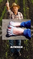 Bro's Got X-Ray Vision for Grippers