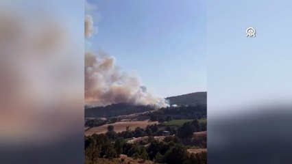 Bursa\'nın bir ilçesinde daha orman yangını