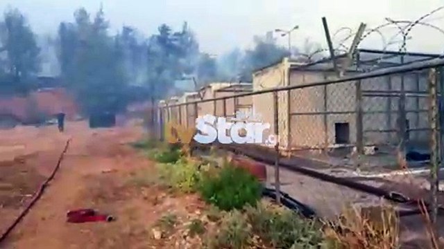 Σώθηκε το κυνοκομείο του Δήμου Χαλκιδέων από την πύρινη λαίλαπα