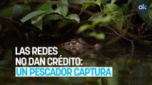 Las redes no dan crédito: un pescador captura un caimán de un metro de largo en un pantano de Albacete
