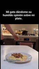 Note pases michito 🐈