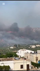 Incendi nel Trapanese: Guarda le Immagini Aggiornate 🔥
