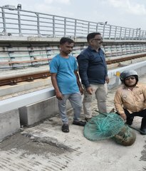 मेट्रो ट्रेन कॉरिडोर में फंसे श्वान को अस्पताल में भर्ती किया