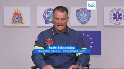 Ελλάδα: Ολονύχτια μάχη με τις φλόγες - Πολλαπλά πύρινα μέτωπα
