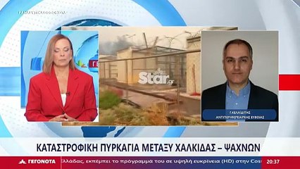 Φωτιά Εύβοια: Καταγγελία Κελαϊδίτη - Ψαθά ότι δεν υπήρξε άμεση επέμβαση εναέριων μέσων