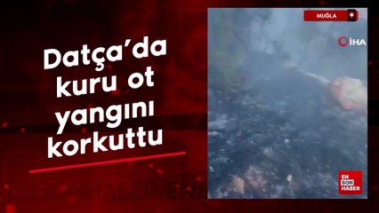 Muğla Datça'da kuru ot yangını korkuttu
