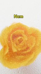 Mensagem de reflexão