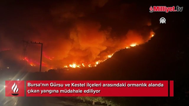 Gürsu ve Kestel arasındaki ormanlık alanda çıkan yangına müdahale ediliyor
