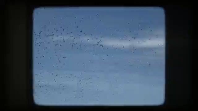 USA vlog, New York to LA, travel vlog 2025, NYC vlog, Los Angeles vlog, exploring USA, daily vlog, cinematic vlog, viral vlog usa, Indian in USA, USA views, dailymotion trending