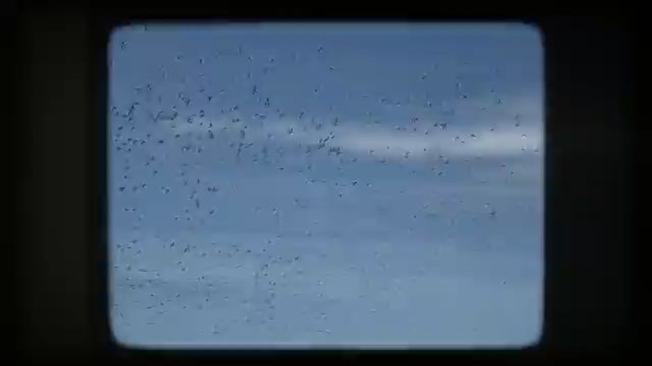 USA vlog, New York to LA, travel vlog 2025, NYC vlog, Los Angeles vlog, exploring USA, daily vlog, cinematic vlog, viral vlog usa, Indian in USA, USA views, dailymotion trending