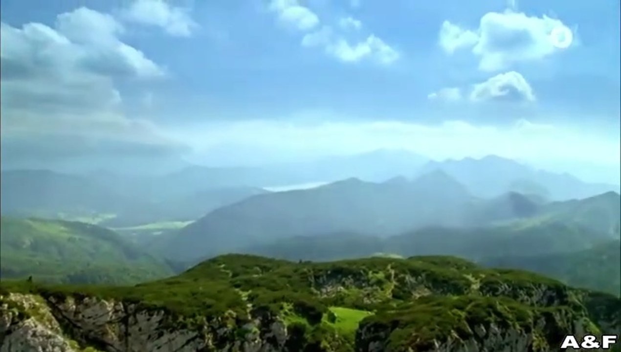 Utta Danella -22- Liebe mit Lachfalten