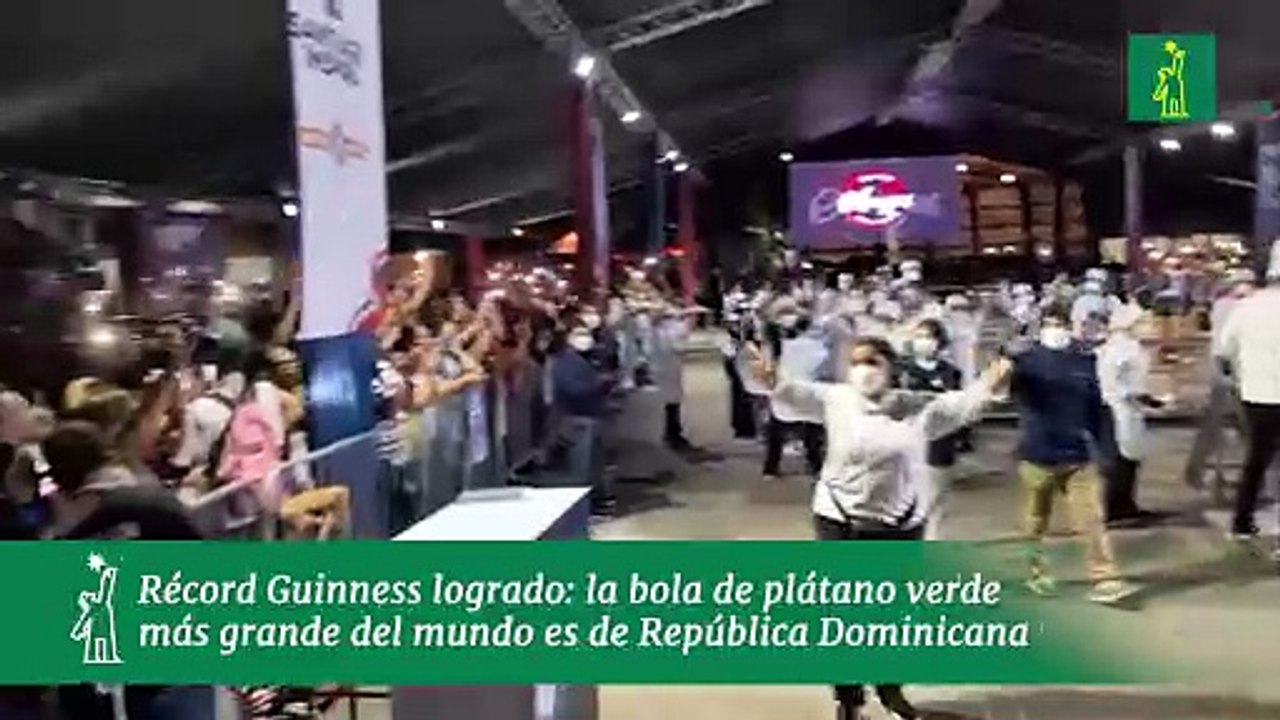 Récord Guinness logrado: la bola de plátano verde más grande del mundo es de República Dominicana