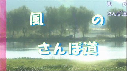 （たおやかインターネット放送)風の散歩道一生に一度は見たい！憧れのオーロラI want to see it at least once in my lifetime! The Aurora Borealis of my dreams!