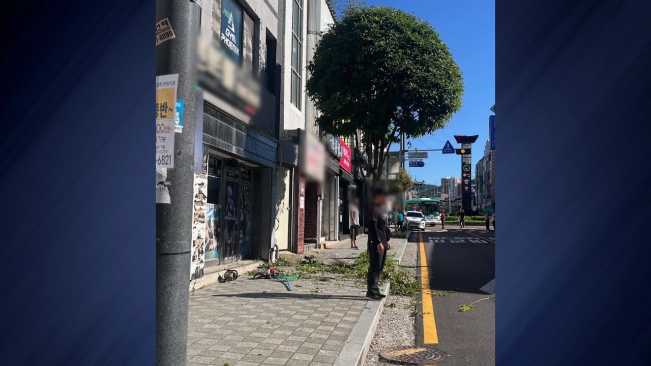 안성에서 가지치기하던 노동자 추락...사망 1명·중상 1명 / YTN